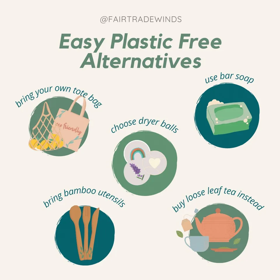 Why Plastic Alternatives in Eco Living