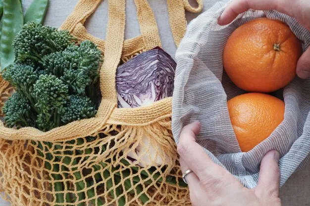 Exploring Reusable Bags in Eco Living